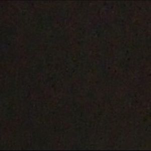 Meet your Posher, Mia